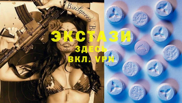 гашик Алексеевка