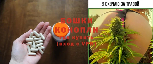 гашик Алексеевка