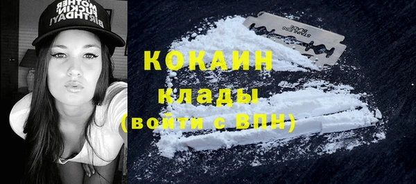 дживик Алексин