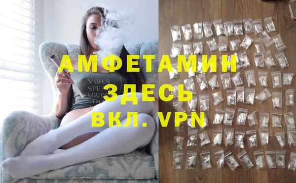 гашик Алексеевка