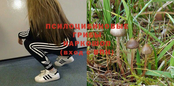 дживик Алексин