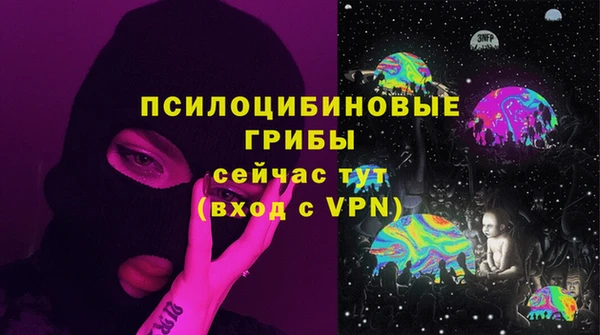 гашик Алексеевка